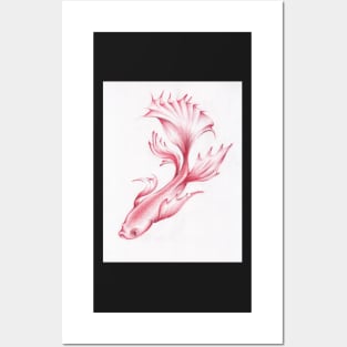 Coral Queen - Betta Fighting Fish Drawing Posters and Art